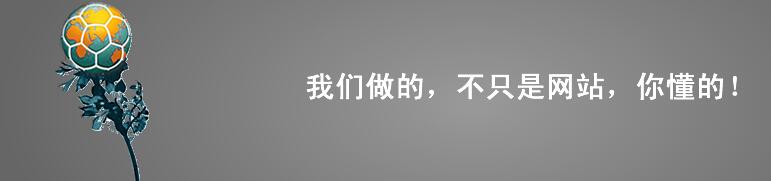 我們做的不只是網(wǎng)站，你懂得